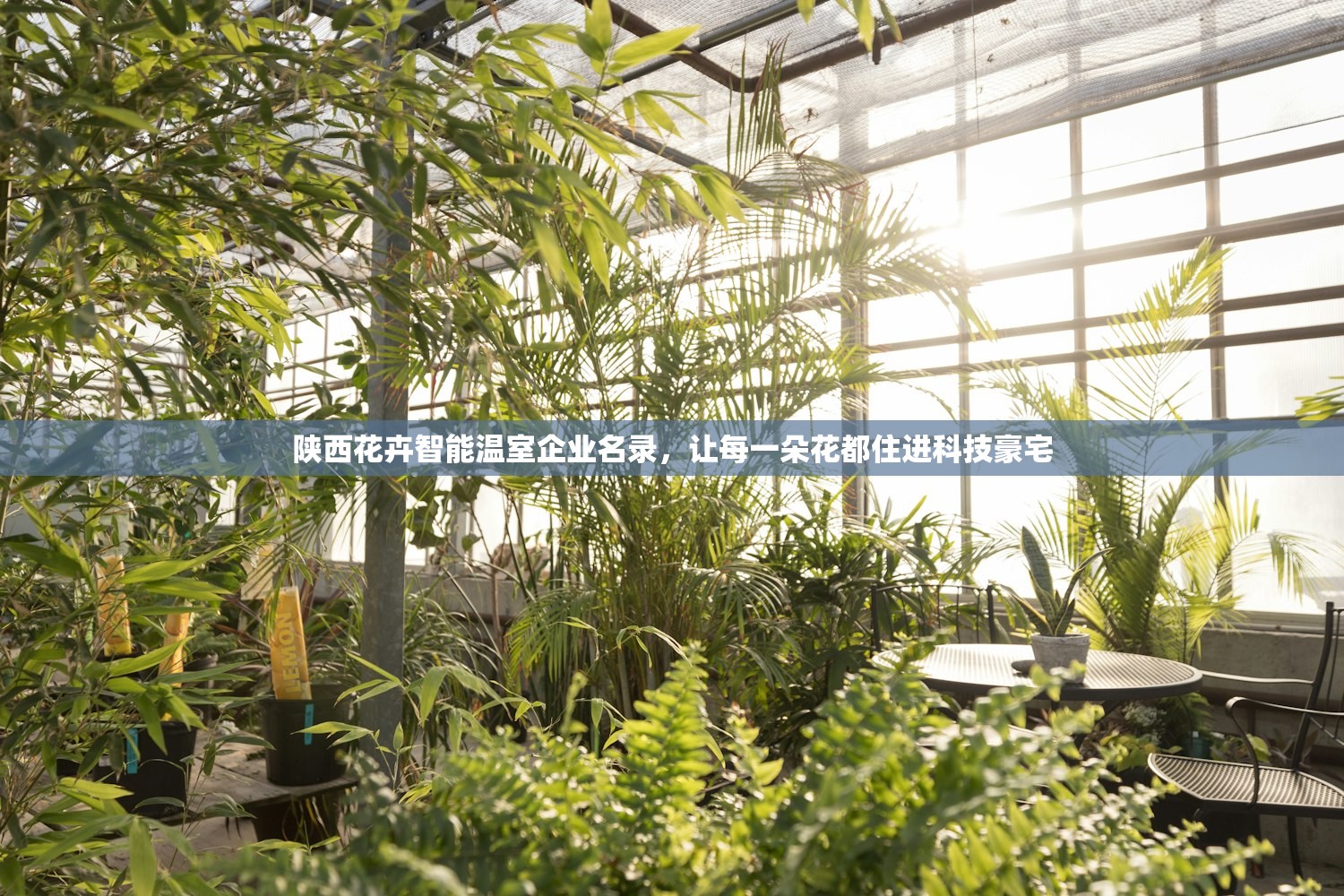 陕西花卉智能温室企业名录，让每一朵花都住进科技豪宅