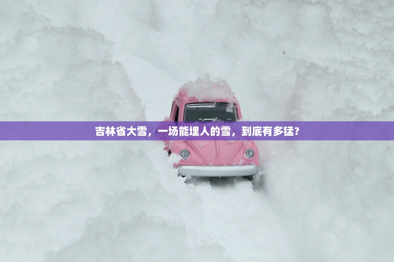 吉林省大雪，一场能埋人的雪，到底有多猛？