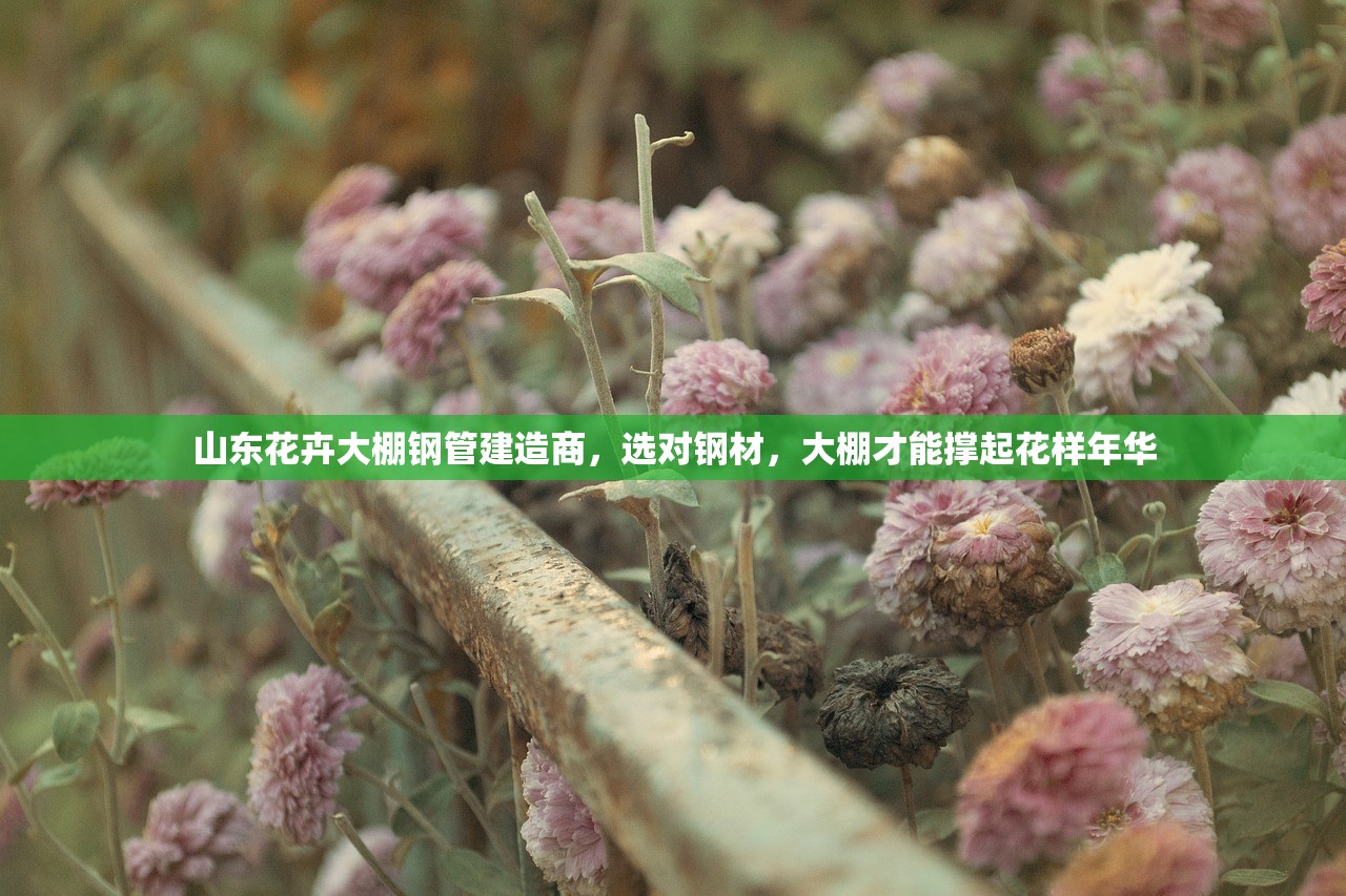 山东花卉大棚钢管建造商，选对钢材，大棚才能撑起花样年华