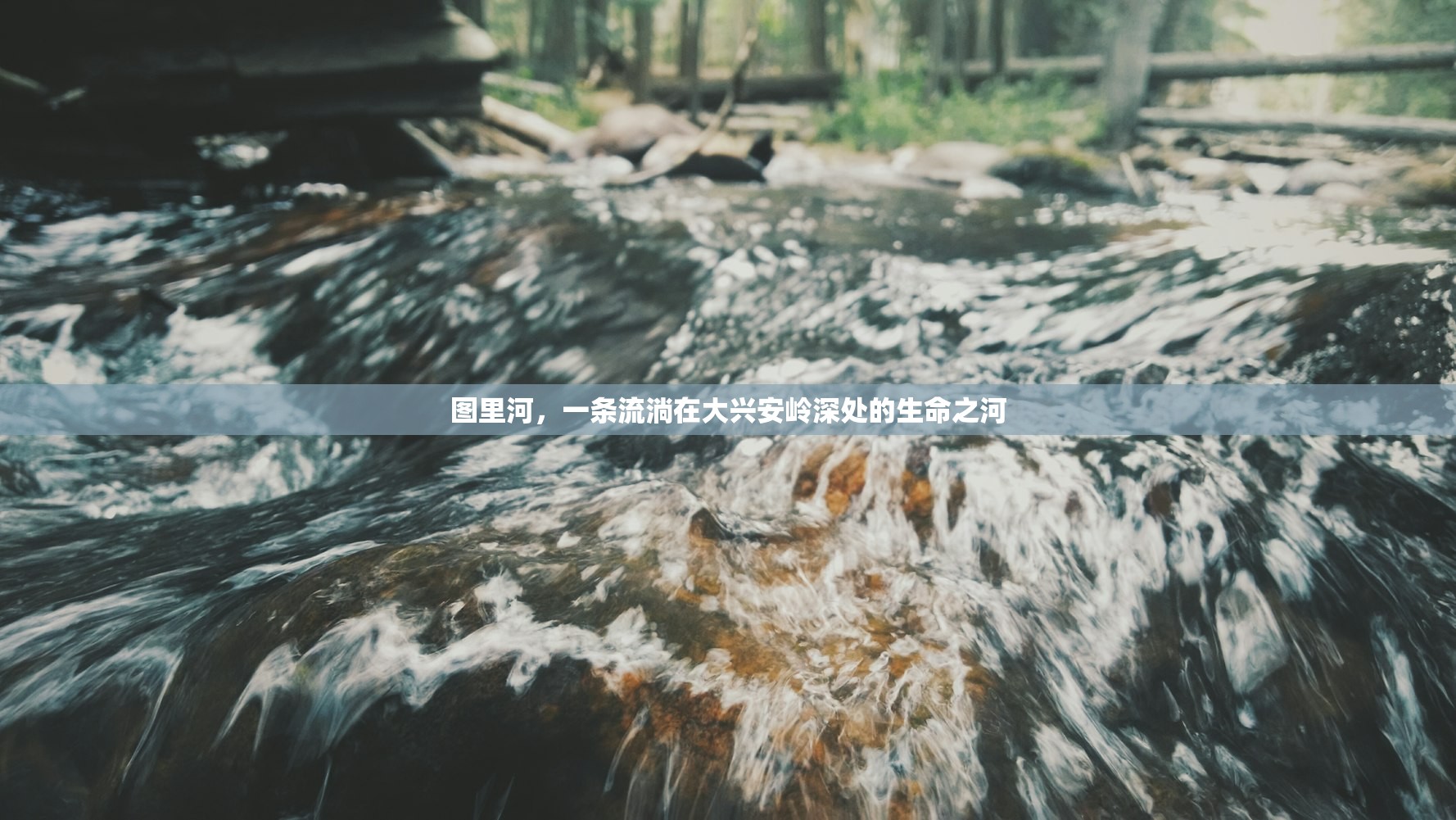 图里河，一条流淌在大兴安岭深处的生命之河