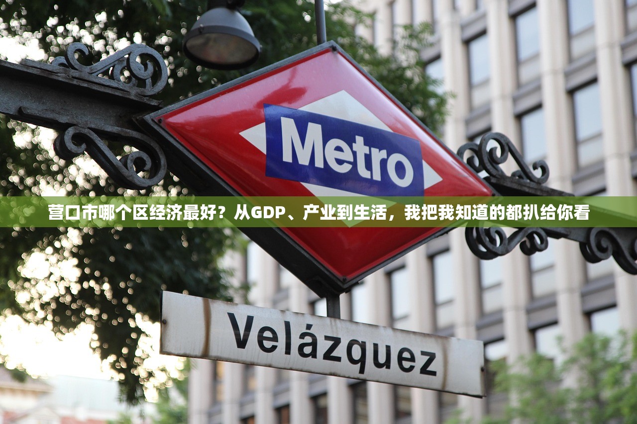营口市哪个区经济最好？从GDP、产业到生活，我把我知道的都扒给你看