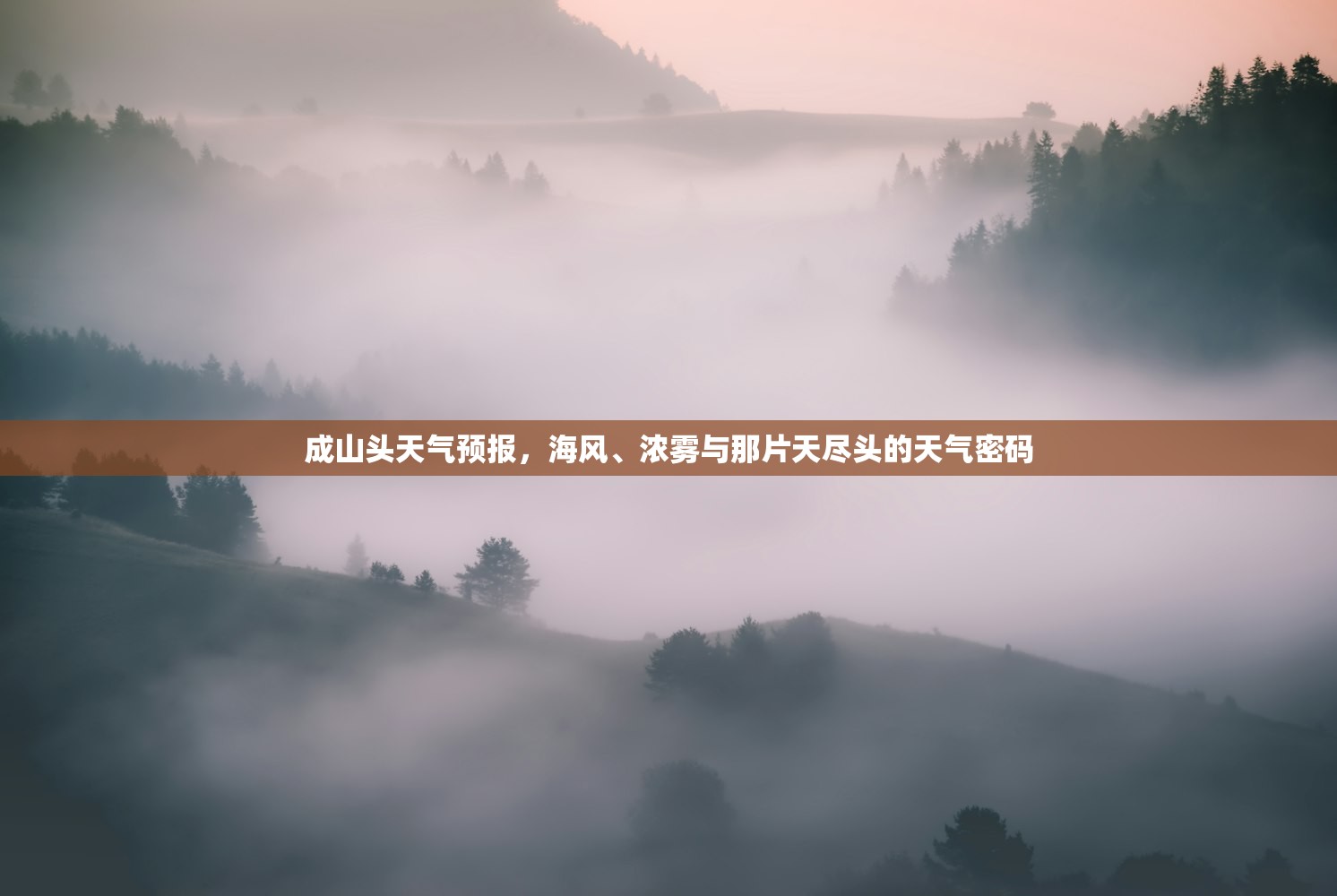 成山头天气预报，海风、浓雾与那片天尽头的天气密码