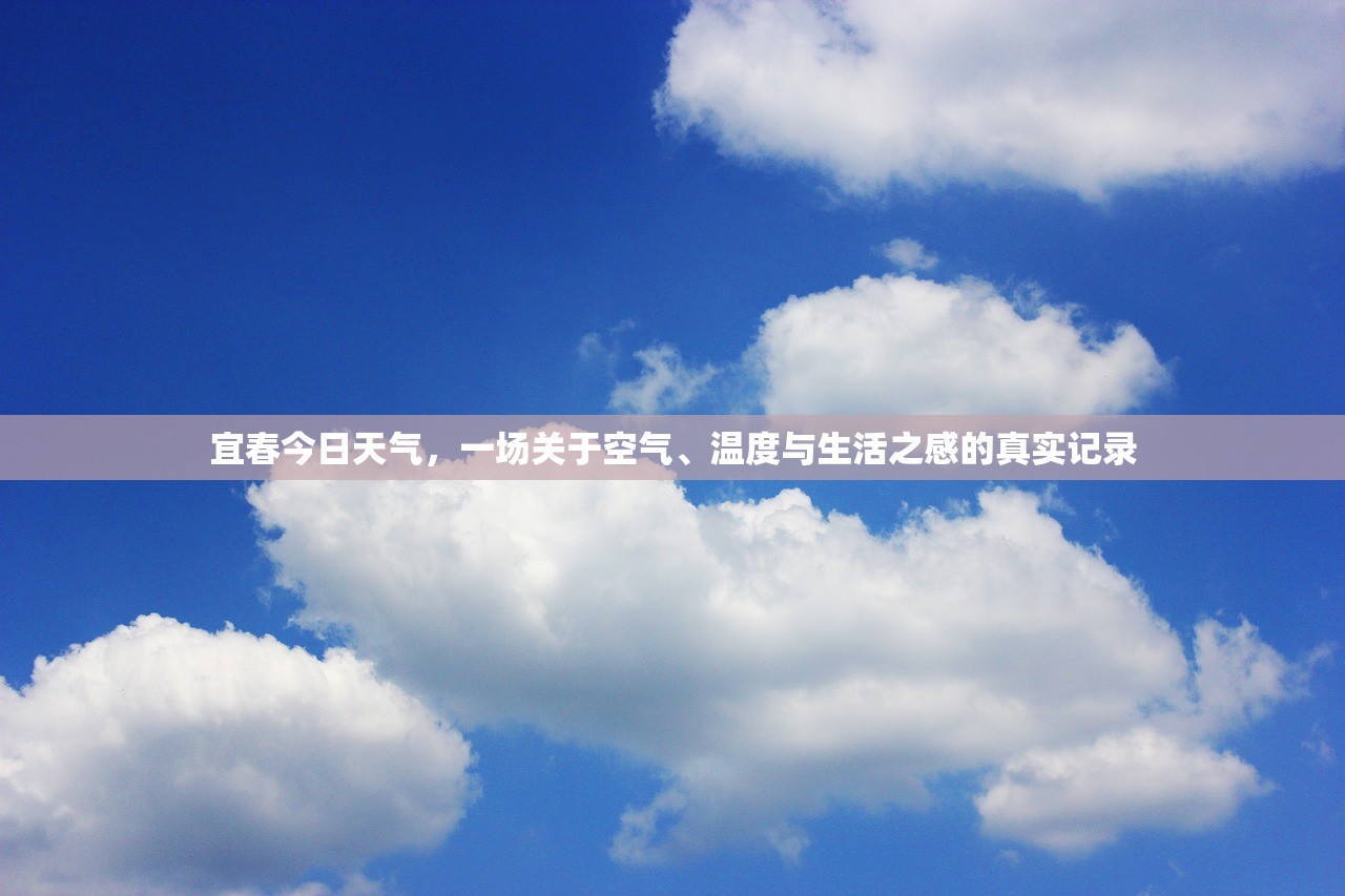 宜春今日天气，一场关于空气、温度与生活之感的真实记录