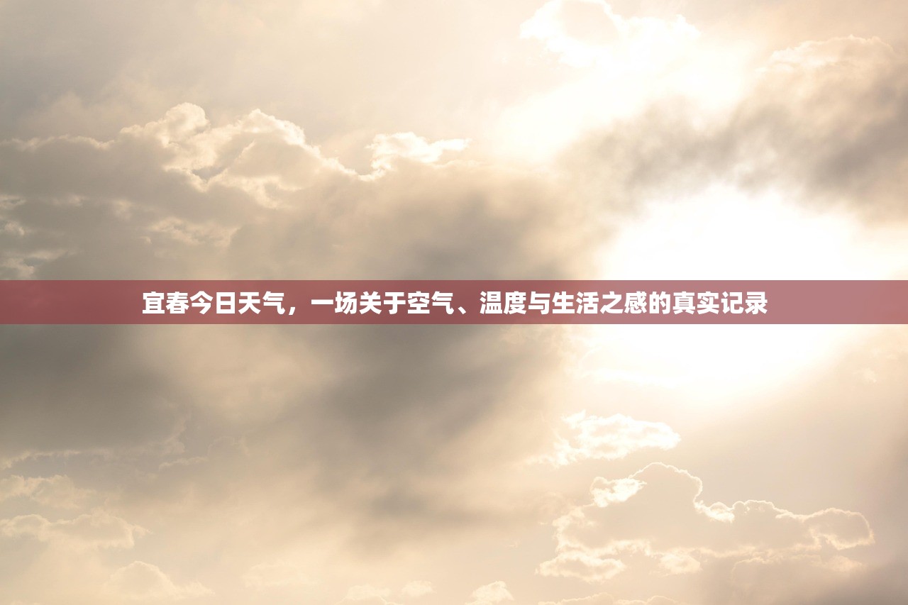宜春今日天气，一场关于空气、温度与生活之感的真实记录