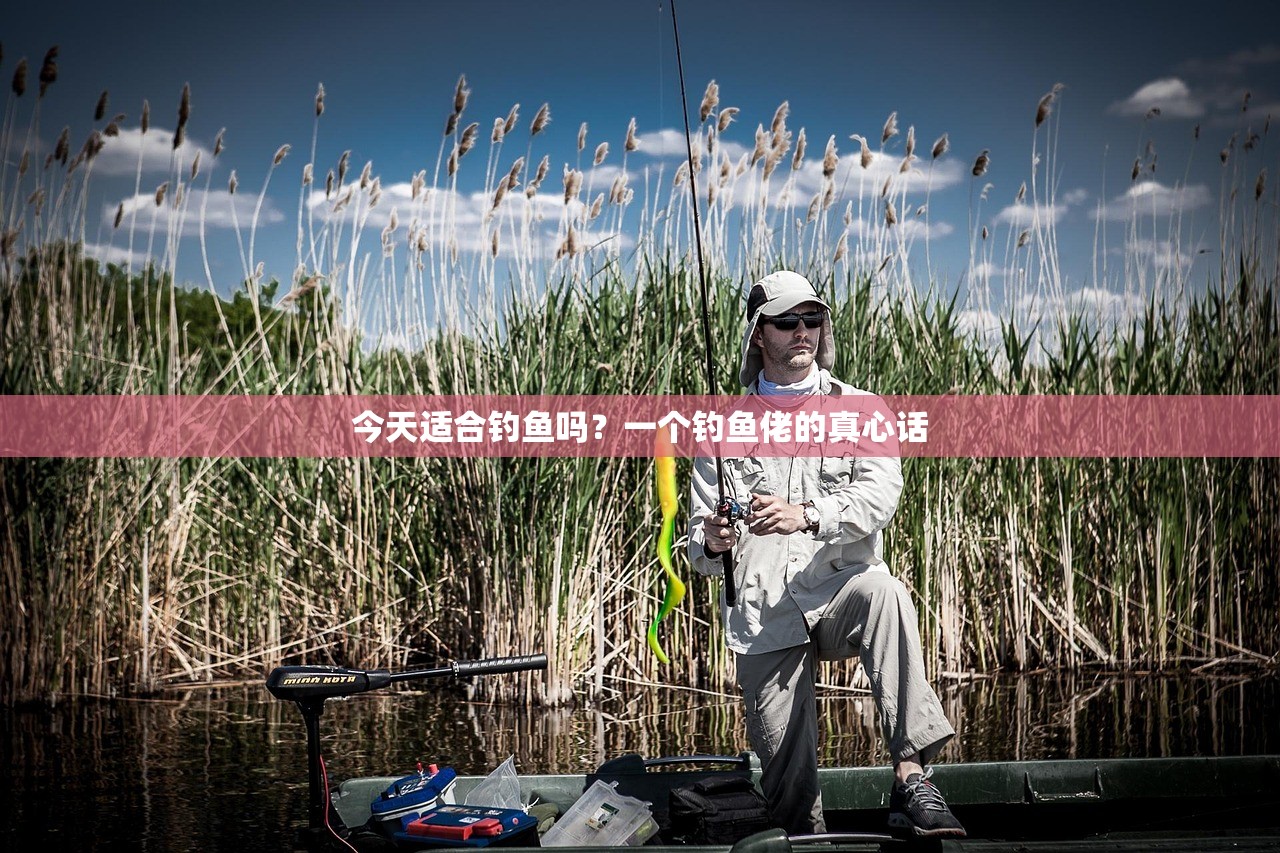 今天适合钓鱼吗？一个钓鱼佬的真心话