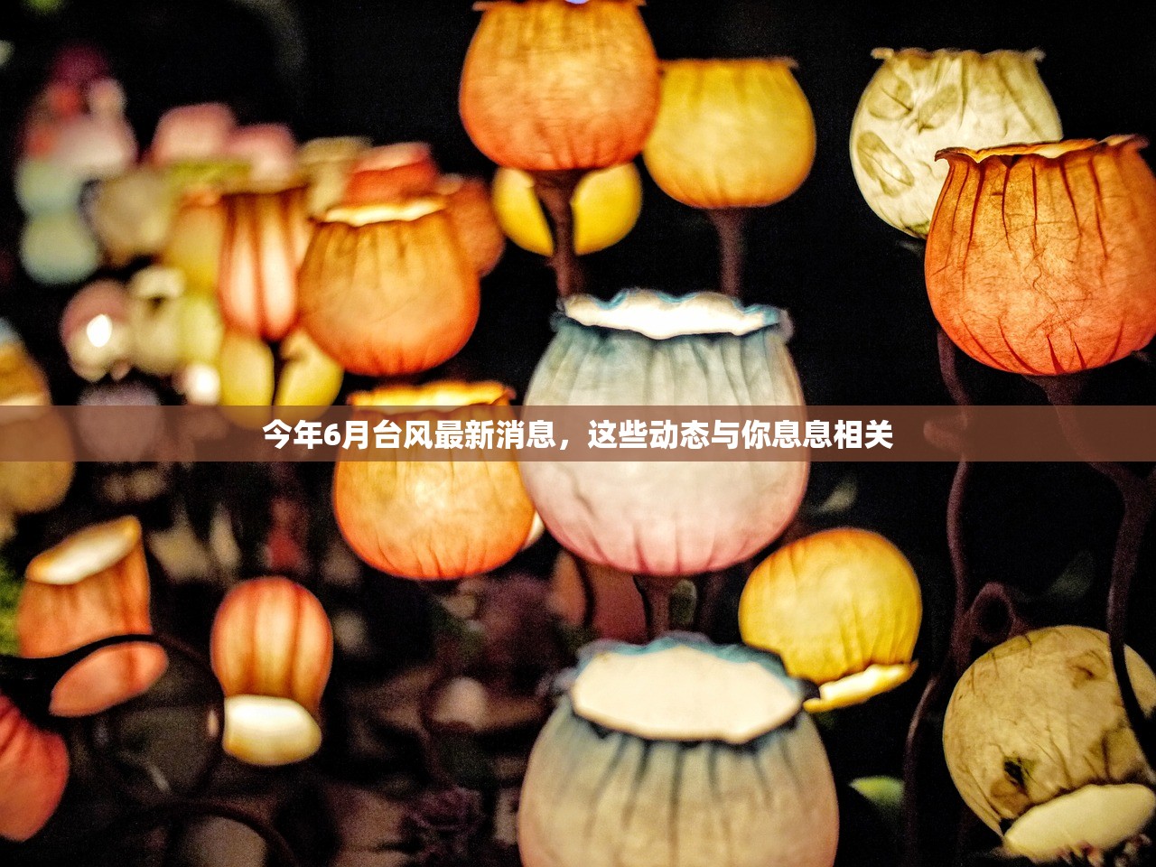 今年6月台风最新消息，这些动态与你息息相关