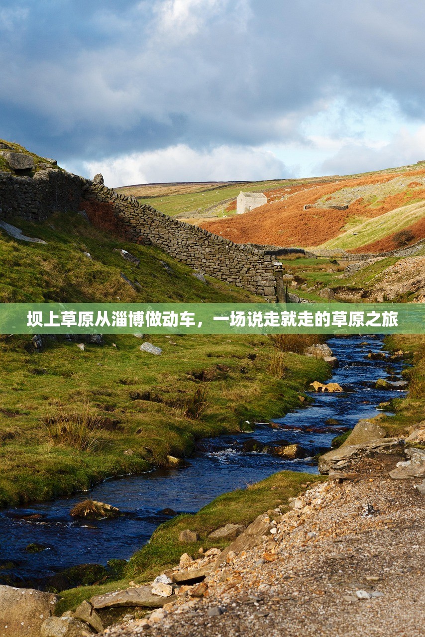 坝上草原从淄博做动车，一场说走就走的草原之旅