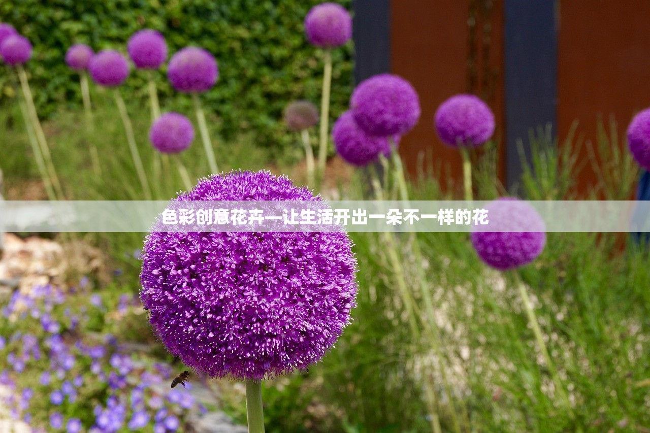 色彩创意花卉—让生活开出一朵不一样的花 色彩创意花卉—让生活开出一朵不一样的花