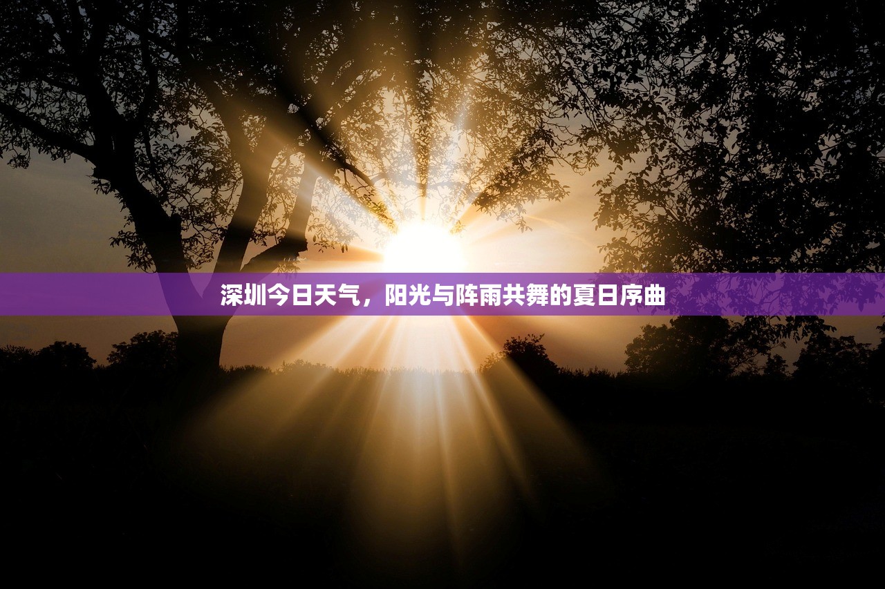 深圳今日天气,阳光与阵雨共舞的夏日序曲 深圳今日天气,阳光与阵雨共舞的夏日序曲