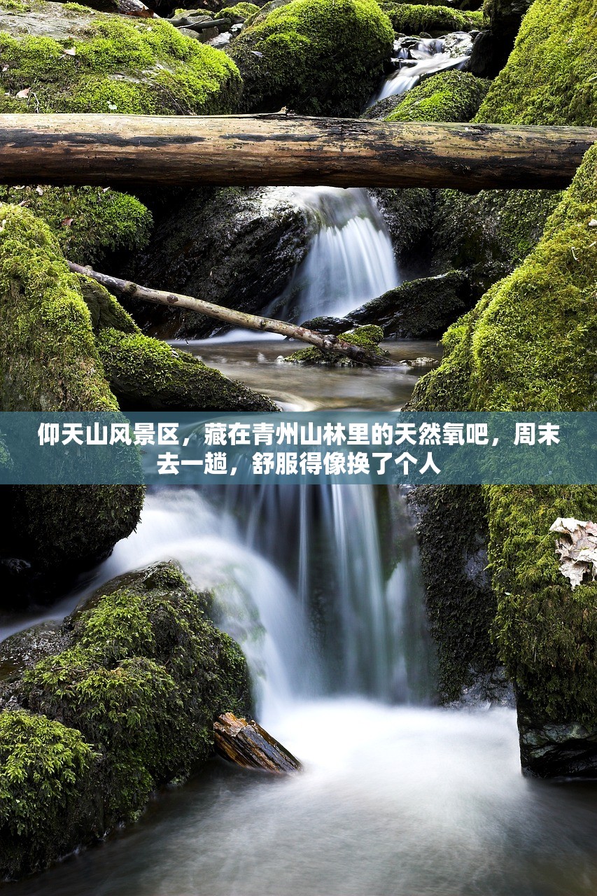 仰天山风景区，藏在青州山林里的天然氧吧，周末去一趟，舒服得像换了个人