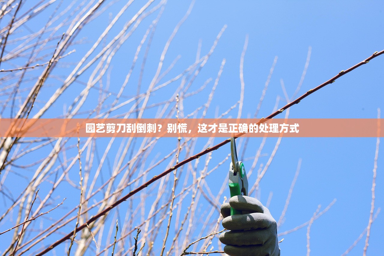 园艺剪刀刮倒刺？别慌，这才是正确的处理方式