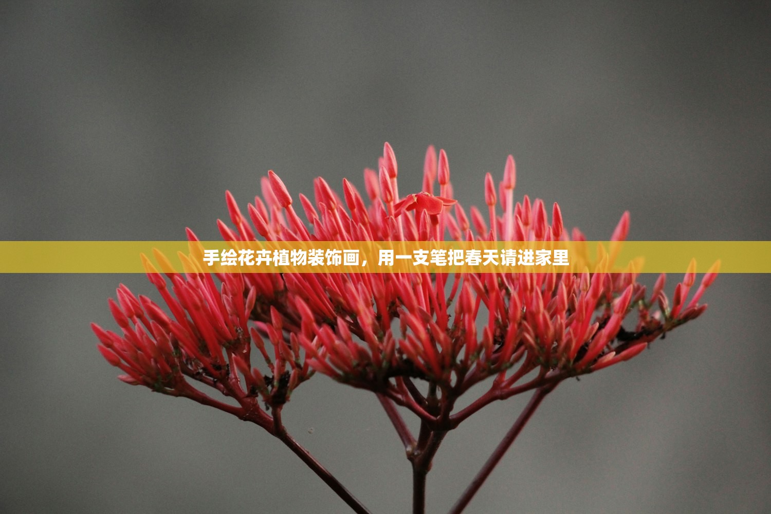 手绘花卉植物装饰画,用一支笔把春天请进家里 手绘花卉植物装饰画,用一支笔把春天请进家里
