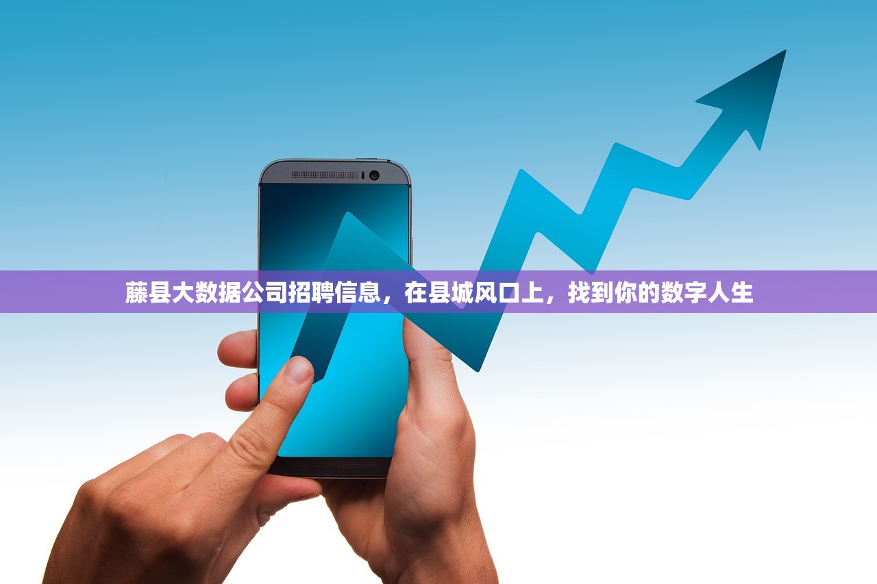 藤县大数据公司招聘信息，在县城风口上，找到你的数字人生