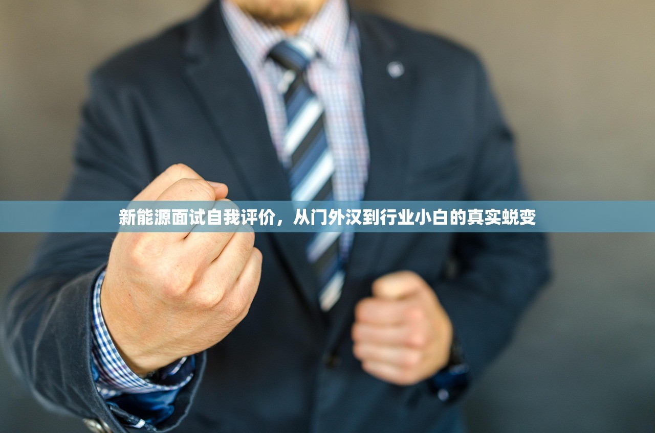 新能源面试自我评价，从门外汉到行业小白的真实蜕变