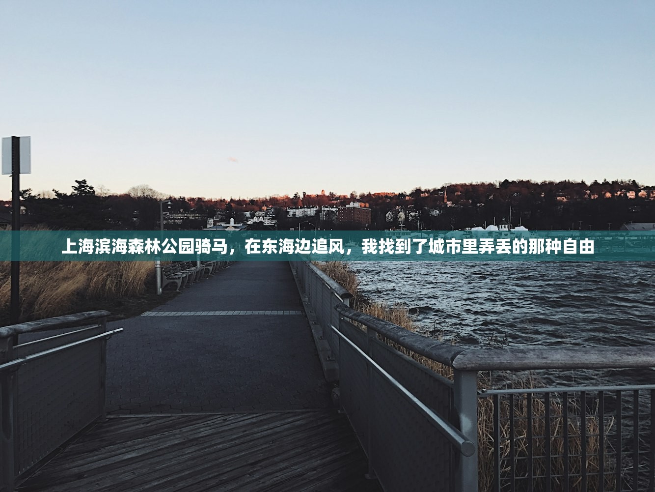 上海滨海森林公园骑马，在东海边追风，我找到了城市里弄丢的那种自由