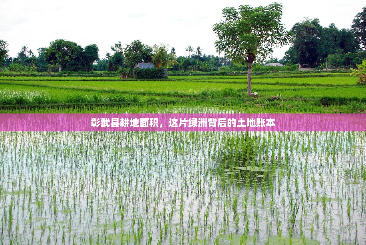 彰武县耕地面积，这片绿洲背后的土地账本