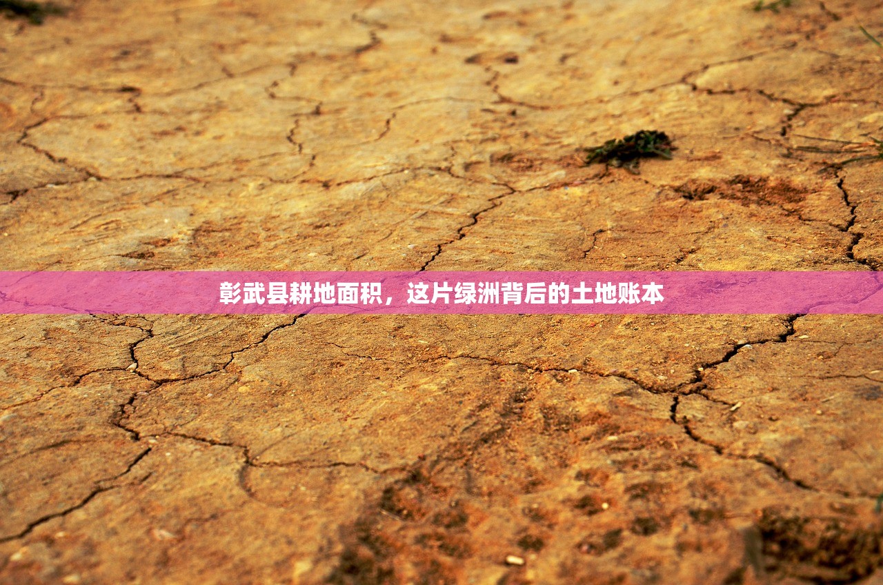 彰武县耕地面积，这片绿洲背后的土地账本